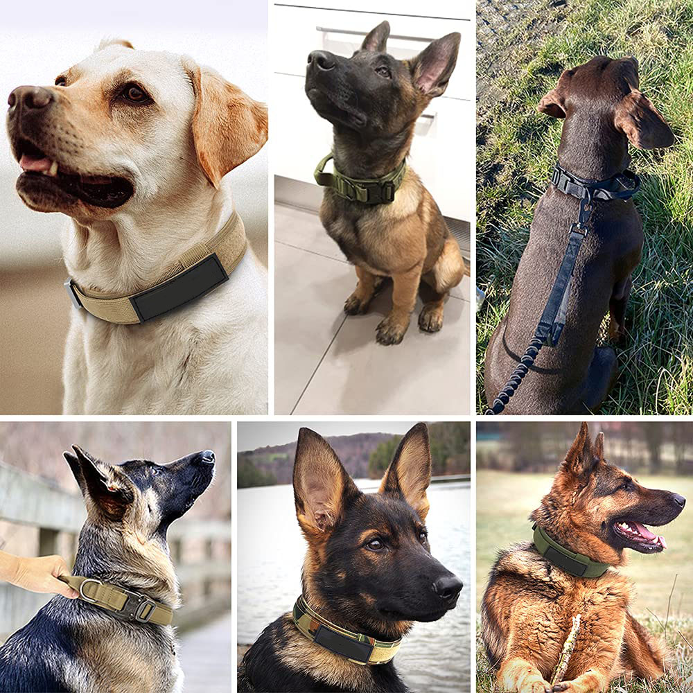 Personalisiertes militärisches taktisches Hundehalsband 