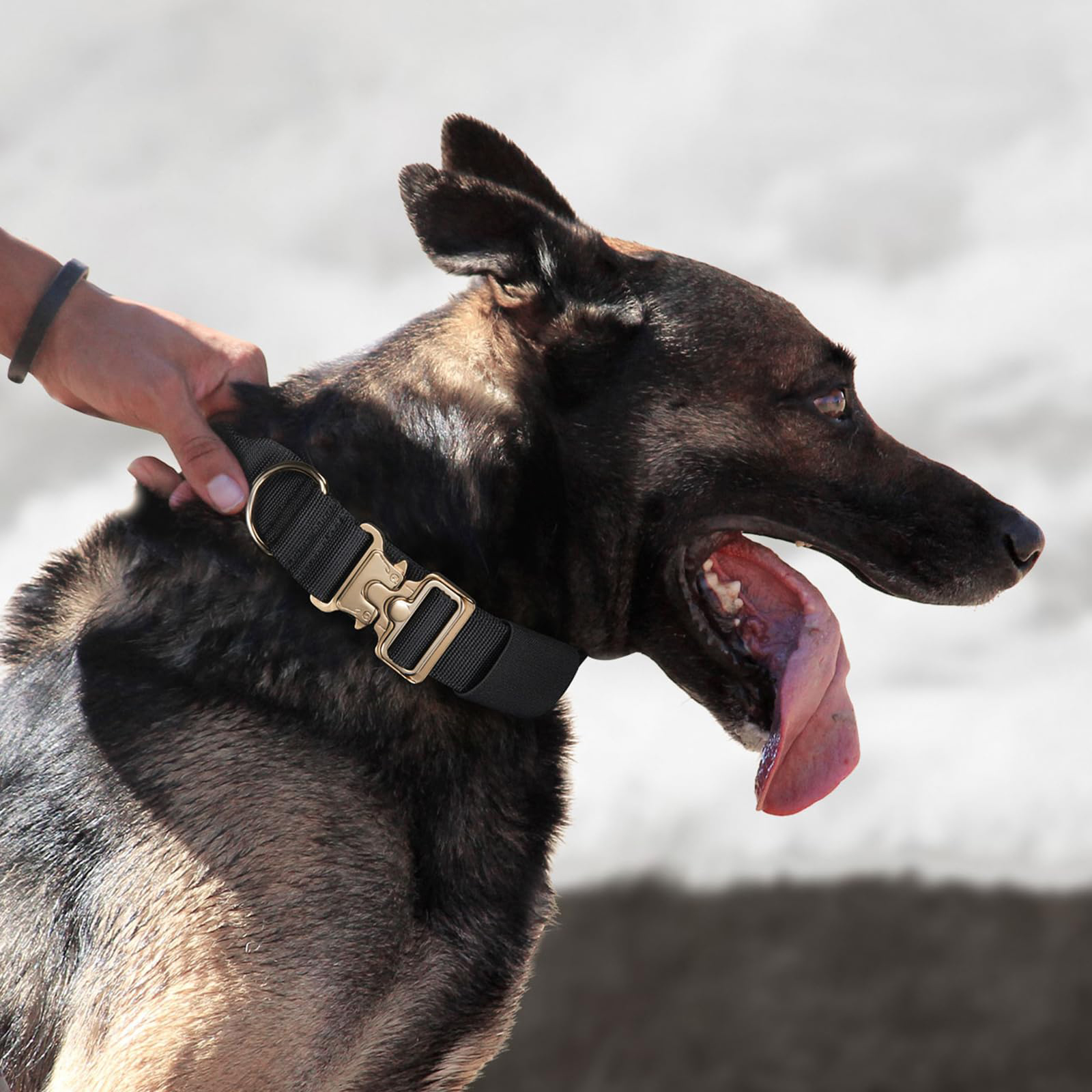Militärisch verstellbares Hundehalsband, robustes Hundehalsband 